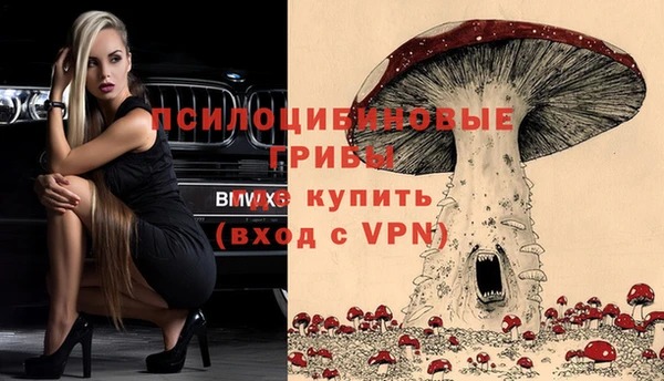 первитин Белоозёрский